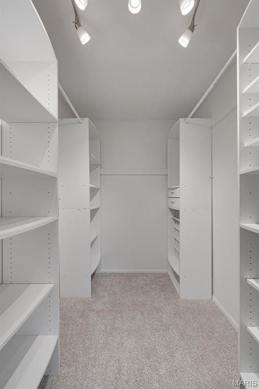 173 Portico Dr, Chesterfield, MO 63017 - walk in closet featuring carpet flooring