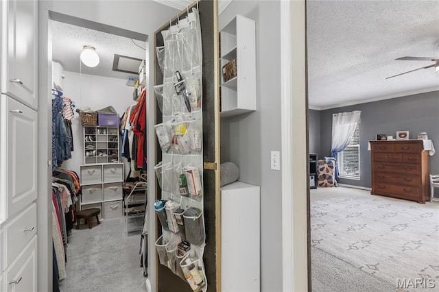 116 Shirewood Dr, Saint Charles, MO 63303 - walk in closet featuring carpet and a ceiling fan