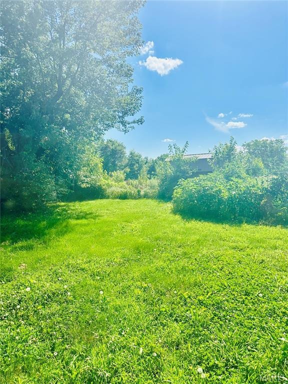 9609 Country Club Rd, Sparta, IL 62286 - photo 22