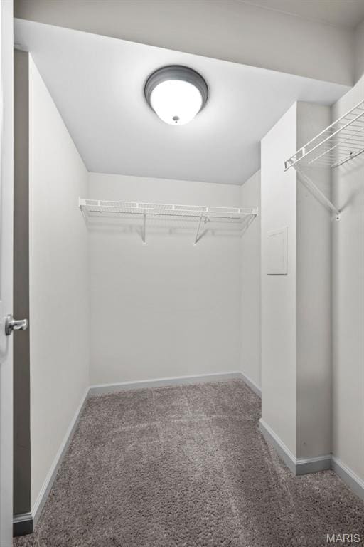 14 Ivyleigh Ct, Saint Charles, MO 63303 - walk in closet with carpet