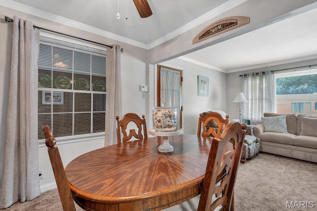 1400 Corinth Dr, Saint Louis, MO 63137 - photo 9