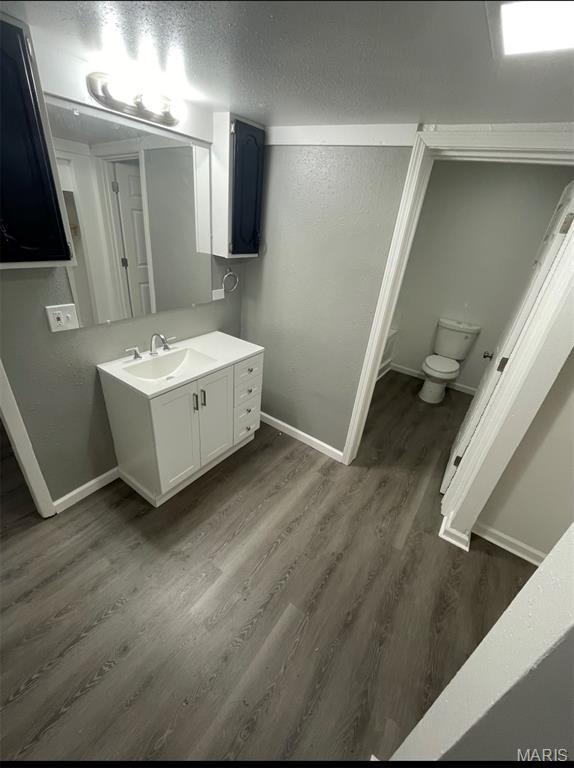 bathroom with vanity and wood finished floors