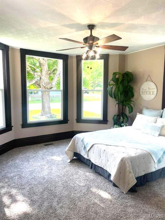 10216 High St, Belgrade, MO 63622 - bedroom featuring carpet flooring and ceiling fan