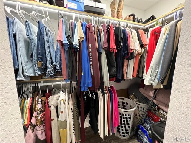 403 E Summit St, Doniphan, MO 63935 - view of spacious closet