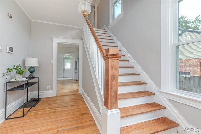 7430 Wayne Ave, Saint Louis, MO 63130 - photo 5