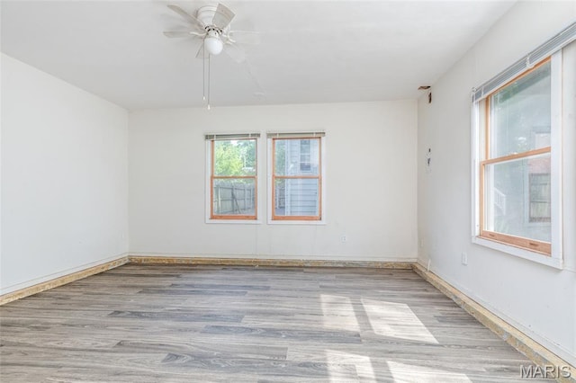 7430 Wayne Ave, Saint Louis, MO 63130 - photo 34
