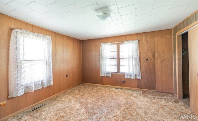 18795 S US Highway 63, Rolla, MO 65401 - carpeted spare room featuring wood walls