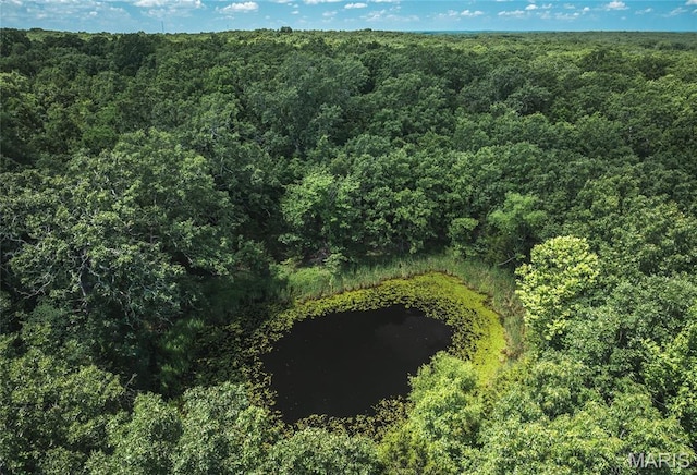 18795 S US Highway 63, Rolla, MO 65401 - view of property location featuring a heavily wooded area and a nearby body of water