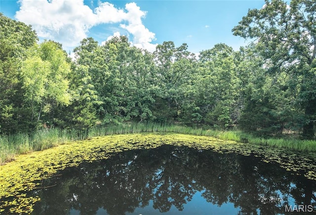 18795 S US Highway 63, Rolla, MO 65401 - water view featuring a forest