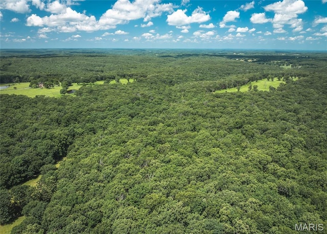18795 S US Highway 63, Rolla, MO 65401 - aerial view of a forest