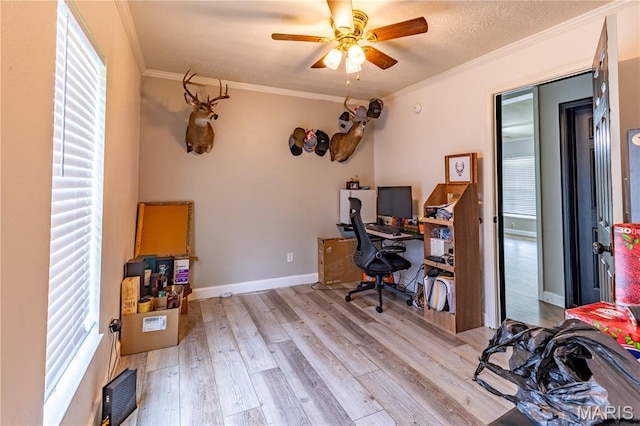 108 Karen St, Sikeston, MO 63801 - office area featuring healthy amount of natural light, ceiling fan, light wood-style flooring, crown molding, and baseboards