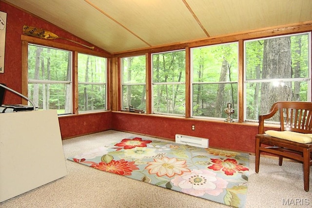 250 Lake Cedar Rd, Burfordville, MO 63739 - photo 9