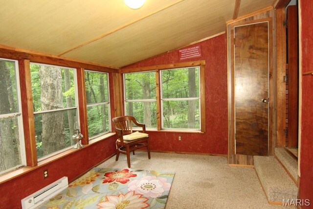 250 Lake Cedar Rd, Burfordville, MO 63739 - photo 10