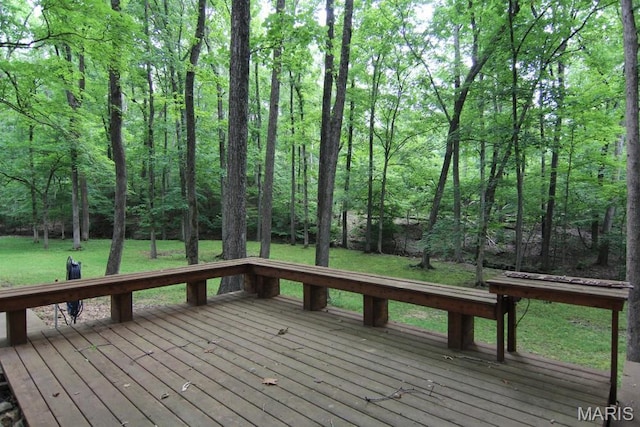 250 Lake Cedar Rd, Burfordville, MO 63739 - photo 18
