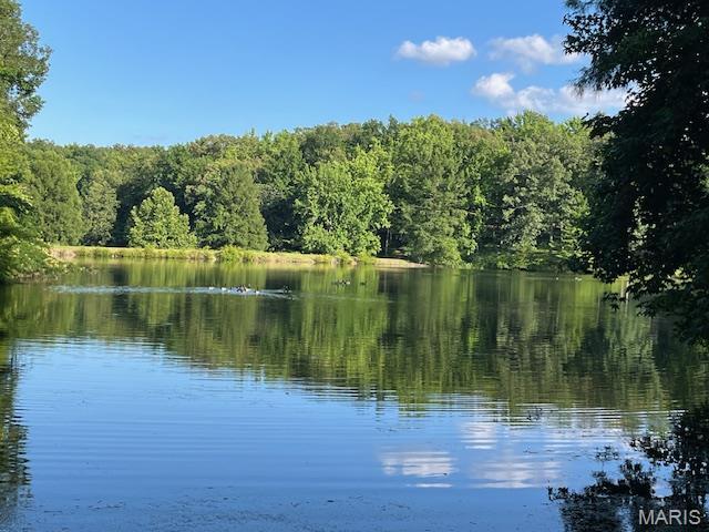 250 Lake Cedar Rd, Burfordville, MO 63739 - photo 28