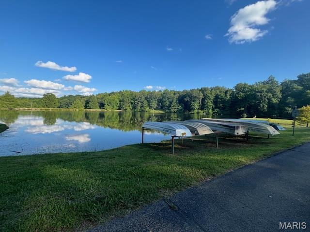 250 Lake Cedar Rd, Burfordville, MO 63739 - photo 30