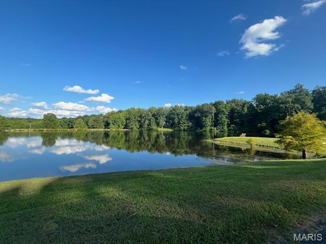 250 Lake Cedar Rd, Burfordville, MO 63739 - photo 31