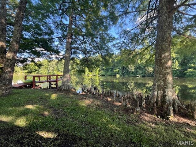 250 Lake Cedar Rd, Burfordville, MO 63739 - photo 32
