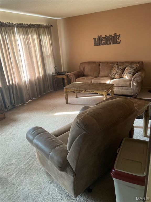 60 La Venta Dr, Florissant, MO 63031 - living room featuring carpet flooring