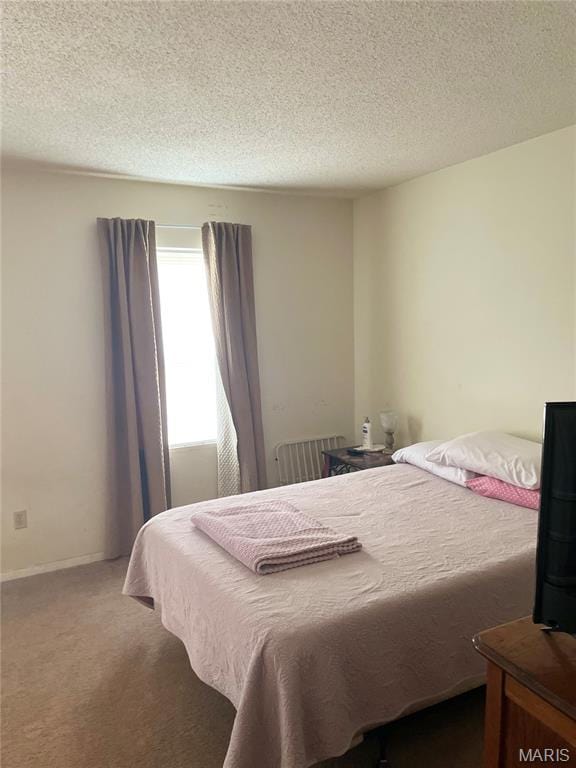 60 La Venta Dr, Florissant, MO 63031 - carpeted bedroom featuring radiator heating unit and a textured ceiling