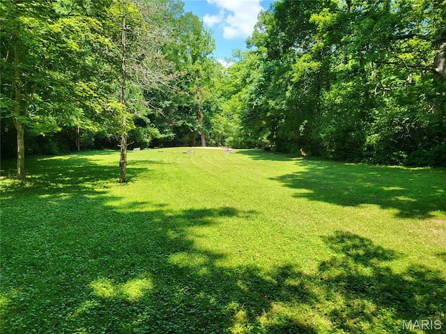 1800 W Adams Ave, Saint Louis, MO 63122 - photo 73