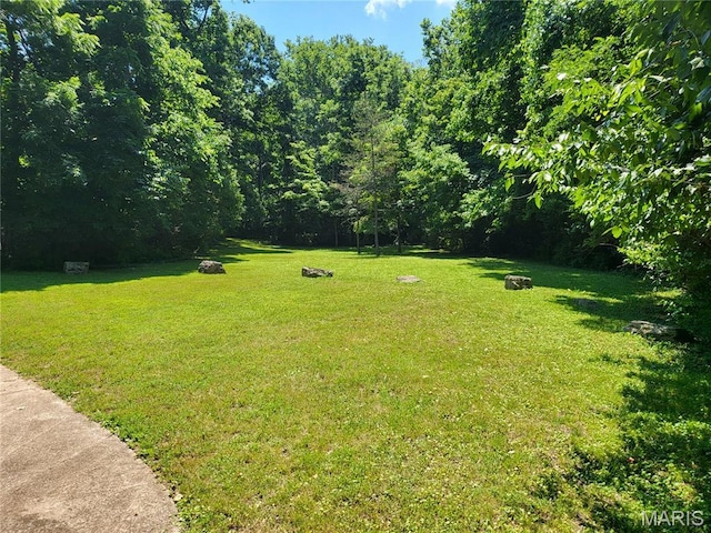 1800 W Adams Ave, Saint Louis, MO 63122 - photo 74