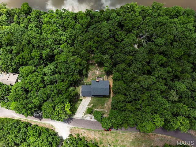 134 N Kings Rd, Lake Sherwood, MO 63357 - photo 46