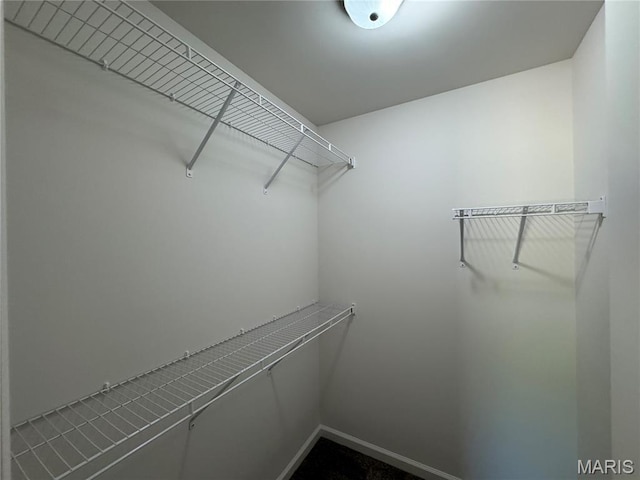2988 Scott Rd, Moscow Mills, MO 63362 - view of walk in closet