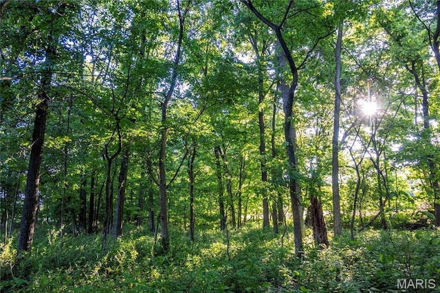 00 Emron Farm Rd, High Hill, MO 63350