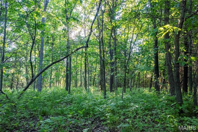 00 Emron Farm Rd, High Hill, MO 63350