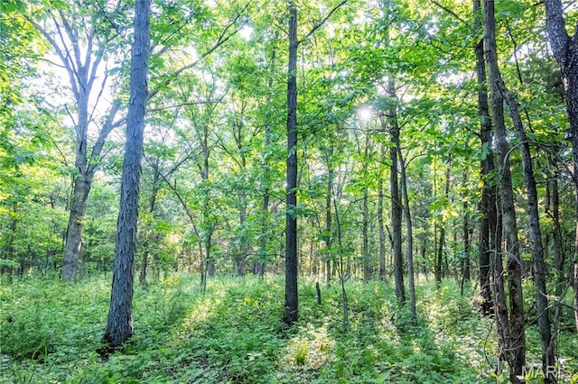00 Emron Farm Rd, High Hill, MO 63350