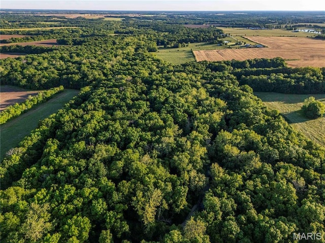 00 Emron Farm Rd, High Hill, MO 63350
