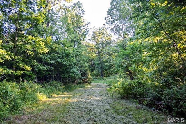 00 Emron Farm Rd, High Hill, MO 63350