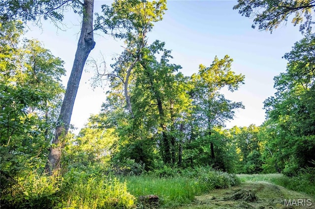 00 Emron Farm Rd, High Hill, MO 63350
