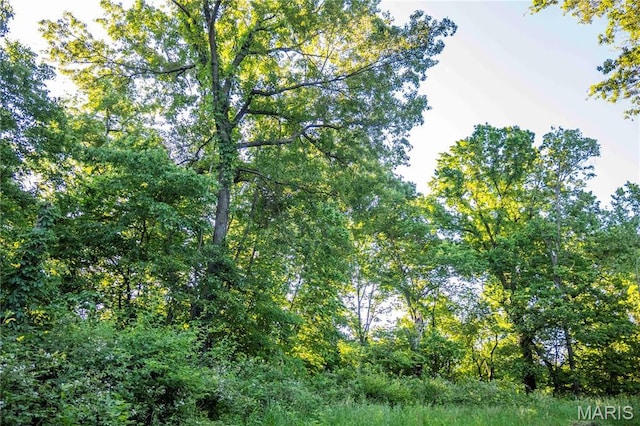 00 Emron Farm Rd, High Hill, MO 63350