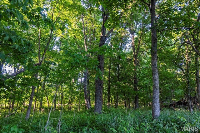 00 Emron Farm Rd, High Hill, MO 63350