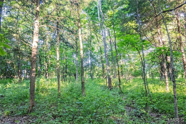 00 Emron Farm Rd, High Hill, MO 63350
