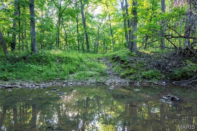 00 Emron Farm Rd, High Hill, MO 63350