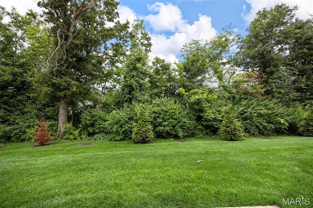 357 Newbridge Way, Ofallon, MO 63368 - view of green lawn