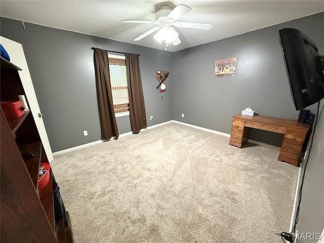 709 N Livingston, Shelbina, MO 63468 - photo 10