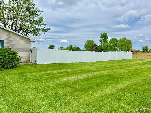 873 White Rd, Montgomery City, MO 63361 - view of yard