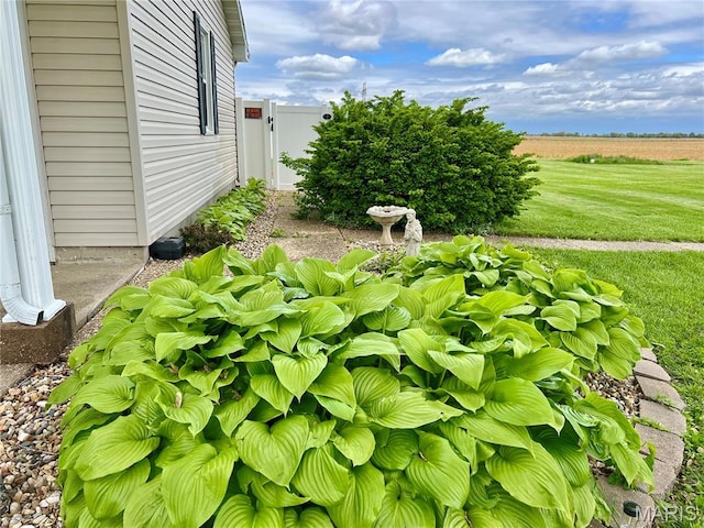 873 White Rd, Montgomery City, MO 63361 - view of yard with a view of rural / pastoral area and a gate