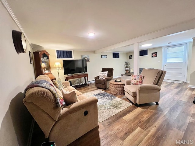 873 White Rd, Montgomery City, MO 63361 - living room featuring wood finished floors