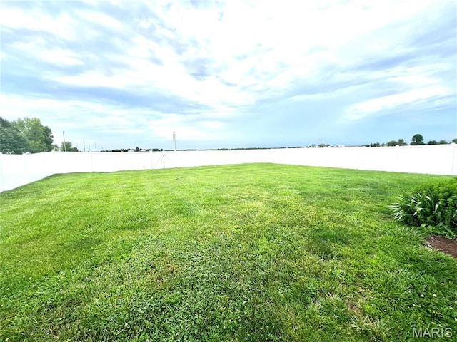 873 White Rd, Montgomery City, MO 63361 - view of yard