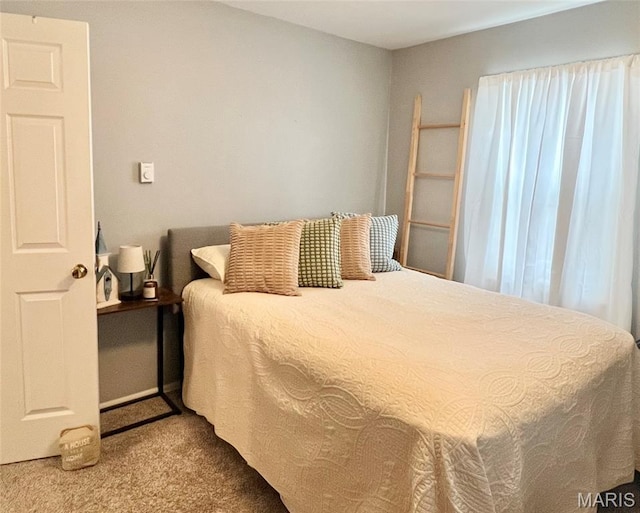 873 White Rd, Montgomery City, MO 63361 - view of carpeted bedroom