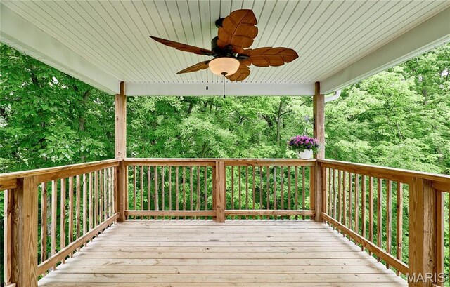 51 Schulze Dr, Troy, MO 63379 - photo 32