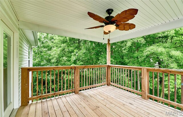 51 Schulze Dr, Troy, MO 63379 - photo 34