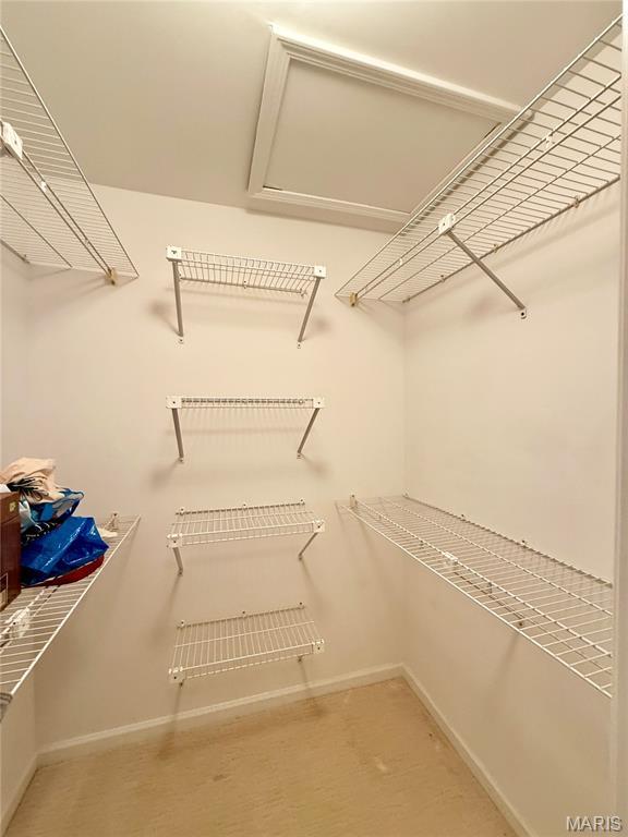 4235 W Pine Blvd Unit 21, Saint Louis, MO 63108 - walk in closet featuring carpet