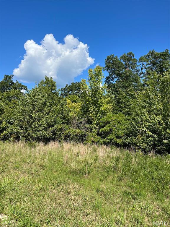 LOT11 And Rdg, Marthasville, MO 63357