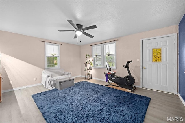 203 N Williams St, Albers, IL 62215 - living area with light wood finished floors, a ceiling fan, plenty of natural light, and a textured ceiling